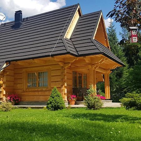 Villa Bialy Puch à Zakopane Extérieur photo
