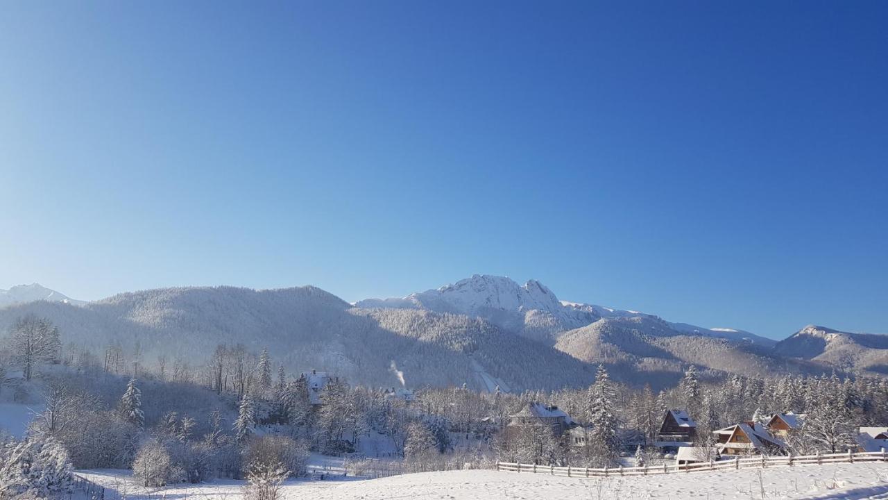 Villa Bialy Puch à Zakopane Extérieur photo