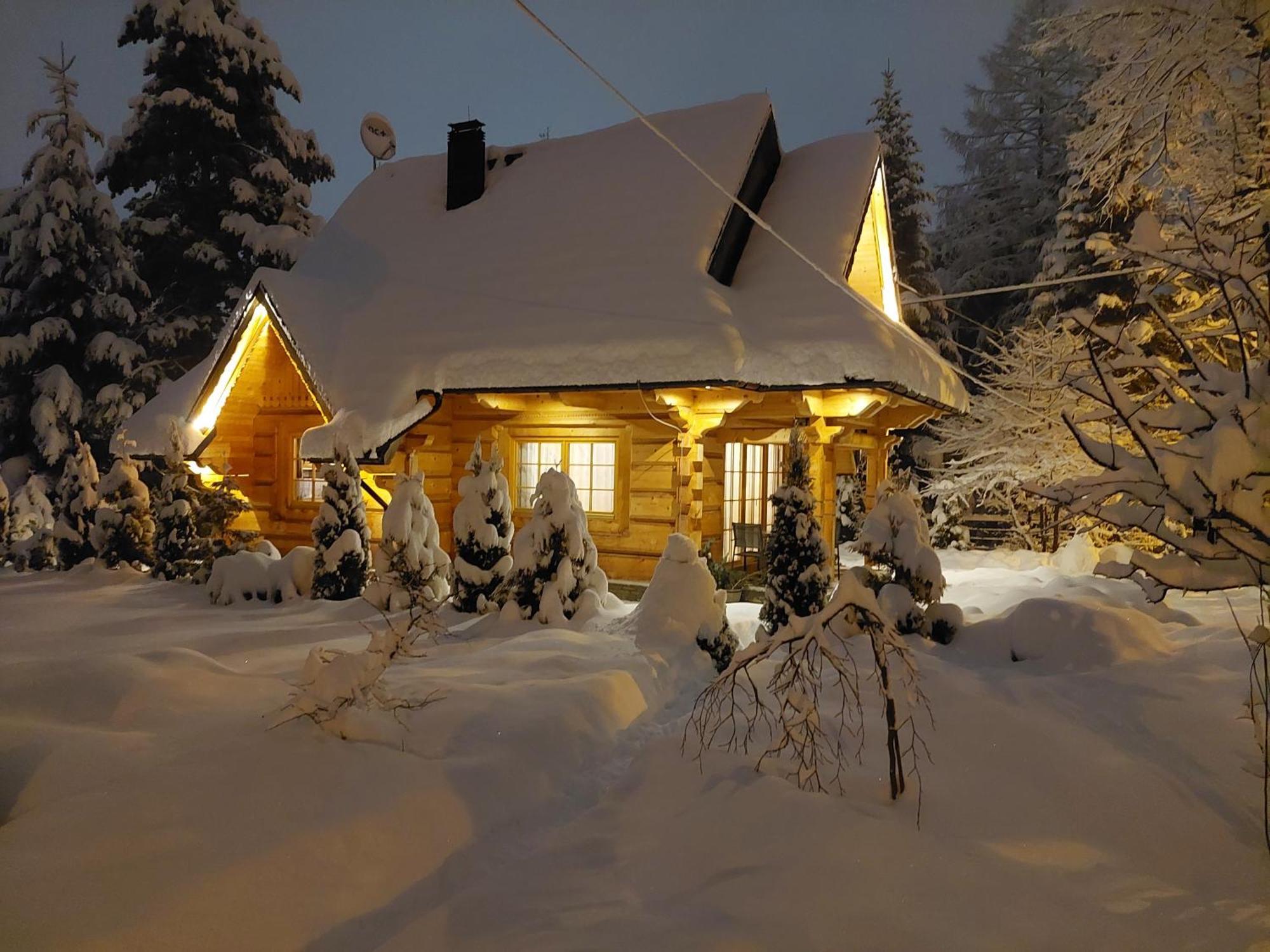 Villa Bialy Puch à Zakopane Extérieur photo